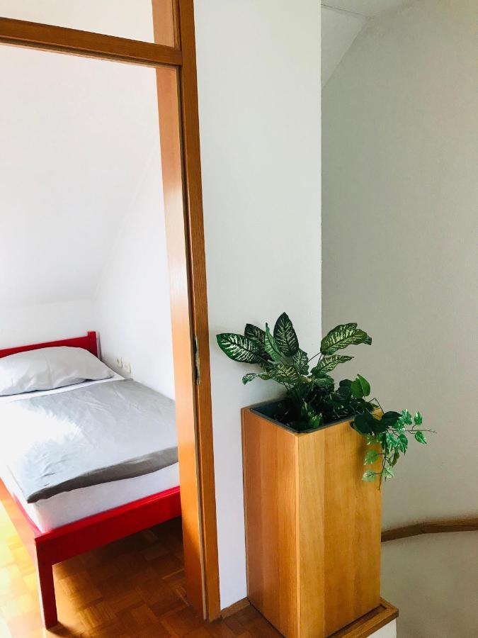 Extraordinary Apartment In Banovci Verzej ภายนอก รูปภาพ
